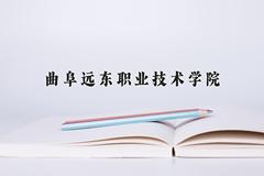 曲阜远东职业技术学院近三年录取分数线及位次：陕西2022-2024最低分