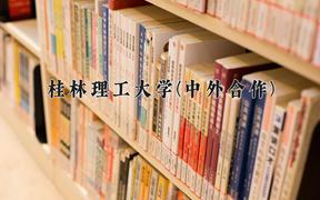 桂林理工大学(中外合作)近三年录取分数线及位次：陕西2022-2024最低分