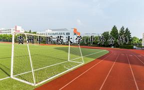 贵州中医药大学(中外合作)近三年录取分数线及位次：陕西2022-2024最低分