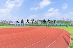 云南大学(中外合作)近三年录取分数线及位次：陕西2022-2024最低分