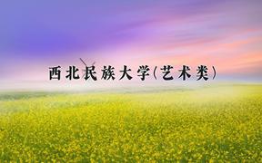 西北民族大学(艺术类)近三年录取分数线及位次：陕西2022-2024最低分