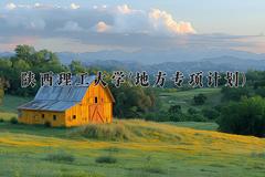 陕西理工大学(地方专项计划)近三年录取分数线及位次：陕西2022-2024最低分