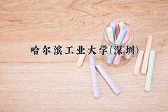 哈尔滨工业大学(深圳)近三年录取分数线及位次：陕西2022-2024最低分