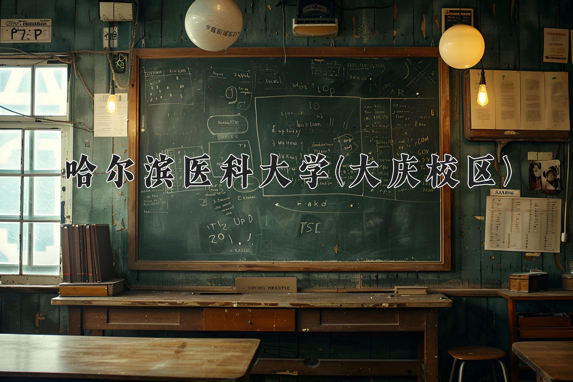 哈尔滨医科大学(大庆校区)近三年录取分数线及位次:陕西2022-2024最低分