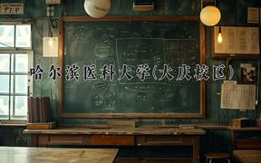 哈尔滨医科大学(大庆校区)近三年录取分数线及位次：陕西2022-2024最低分