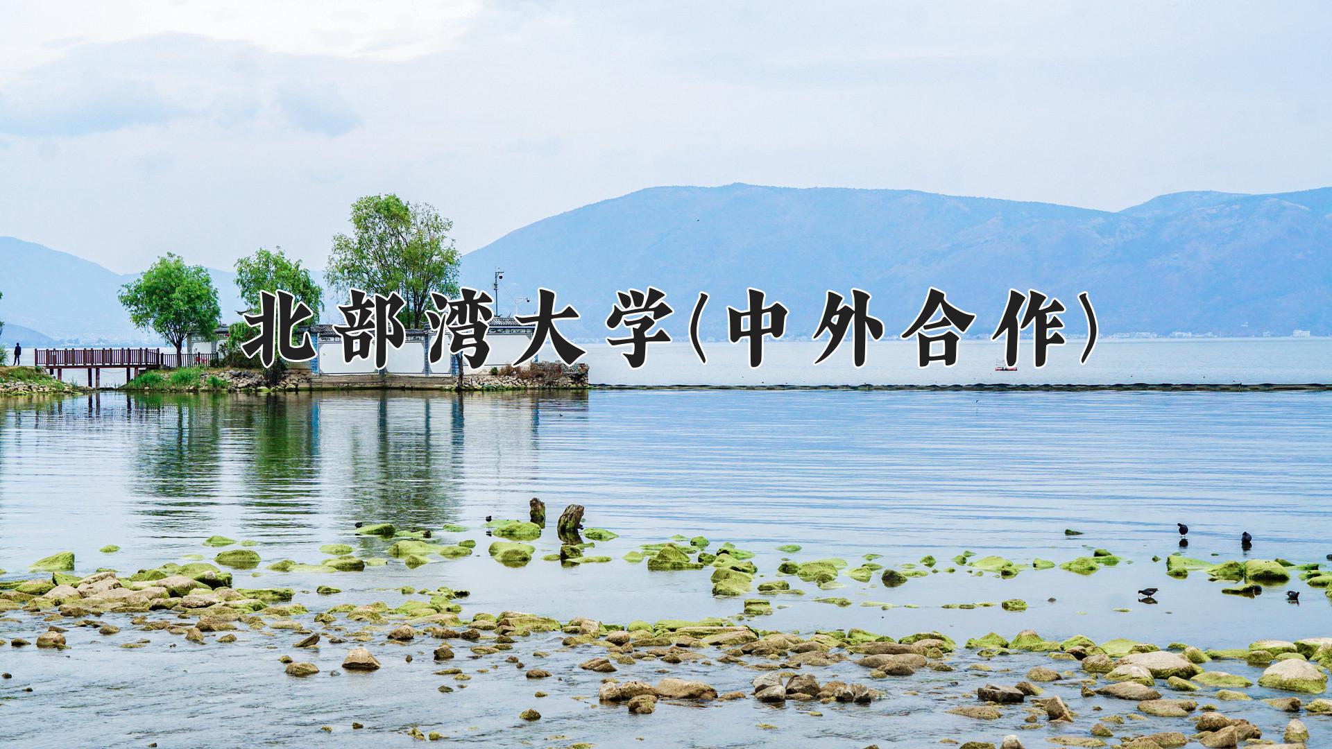 北部湾大学(中外合作)近三年录取分数线及位次:陕西2022-2024最低分