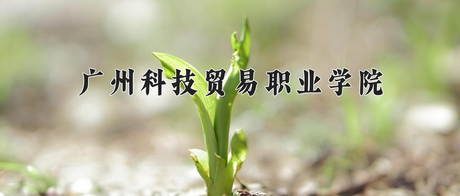 广州科技贸易职业学院近三年录取分数线及位次：陕西2022-2024最低分