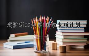 武汉理工大学(国家专项计划)近三年录取分数线及位次：陕西2022-2024最低分