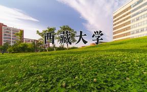 西藏大学近三年录取分数线及位次：陕西2022-2024最低分