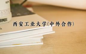 西安工业大学(中外合作)近三年录取分数线及位次：陕西2022-2024最低分