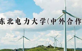 东北电力大学(中外合作)近三年录取分数线及位次：陕西2022-2024最低分