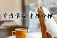 商洛学院(中外合作)近三年录取分数线及位次：陕西2022-2024最低分