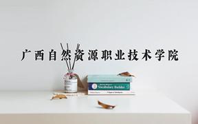 广西自然资源职业技术学院近三年录取分数线及位次：陕西2022-2024最低分