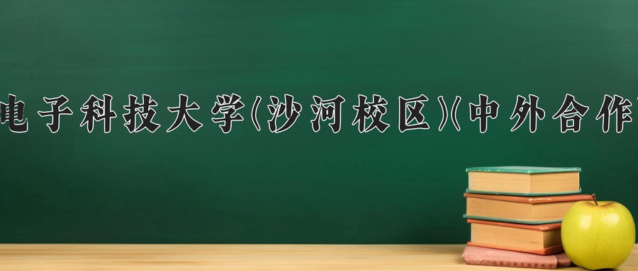 电子科技大学(沙河校区)(中外合作)近三年录取分数线及位次:陕西2022-2024最低分
