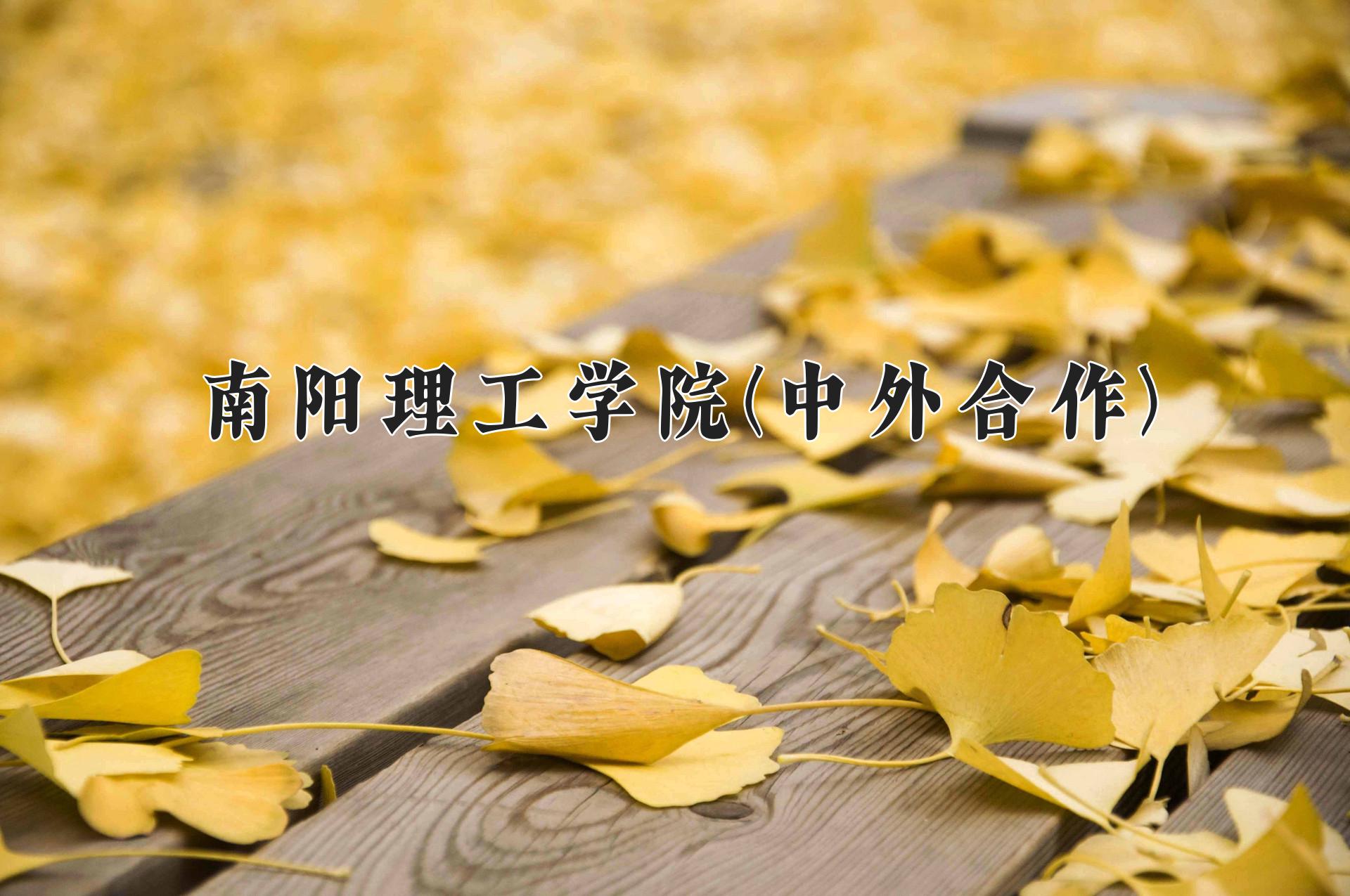 南阳理工学院(中外合作)近三年录取分数线及位次:陕西2022-2024最低分