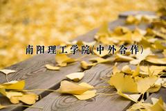 南阳理工学院(中外合作)近三年录取分数线及位次：陕西2022-2024最低分