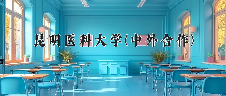 昆明医科大学(中外合作)近三年录取分数线及位次:陕西2022-2024最低分