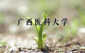 广西医科大学近三年录取分数线及位次：陕西2022-2024最低分