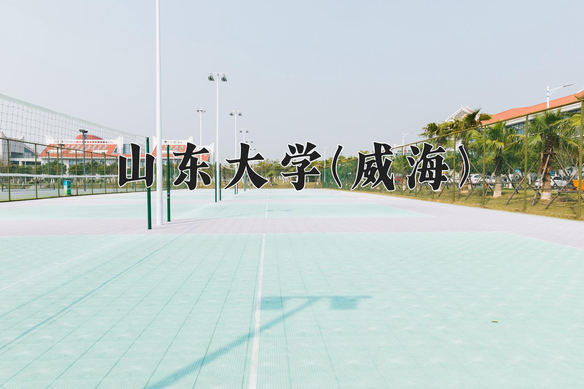 山东大学(威海)近三年录取分数线及位次:陕西2022-2024最低分