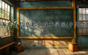 上海电子信息职业技术学院(中外合作)近三年录取分数线及位次：陕西2022-2024最低分