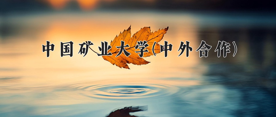 中国矿业大学(中外合作)近三年录取分数线及位次:陕西2022-2024最低分