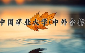 中国矿业大学(中外合作)近三年录取分数线及位次：陕西2022-2024最低分