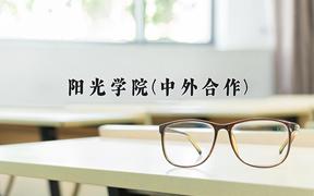 阳光学院(中外合作)近三年录取分数线及位次：陕西2022-2024最低分