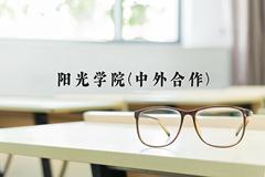 阳光学院(中外合作)近三年录取分数线及位次：陕西2022-2024最低分