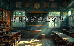 云南新兴职业学院近三年录取分数线及位次：陕西2022-2024最低分