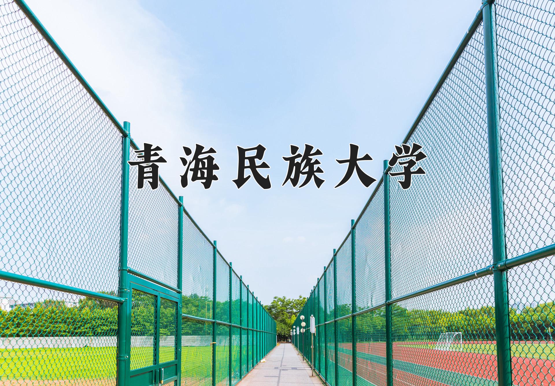 青海民族大学近三年录取分数线及位次：陕西2022-2024最低分