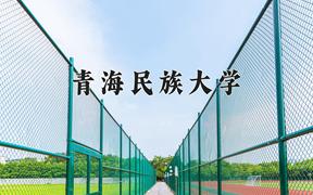 青海民族大学近三年录取分数线及位次：陕西2022-2024最低分