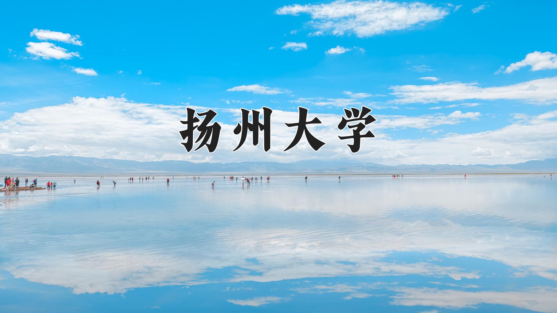 扬州大学近三年录取分数线及位次:陕西2022-2024最低分