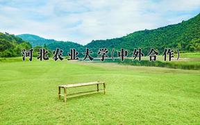 河北农业大学(中外合作)近三年录取分数线及位次：陕西2022-2024最低分