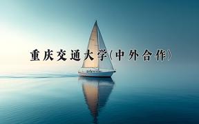 重庆交通大学(中外合作)近三年录取分数线及位次：陕西2022-2024最低分