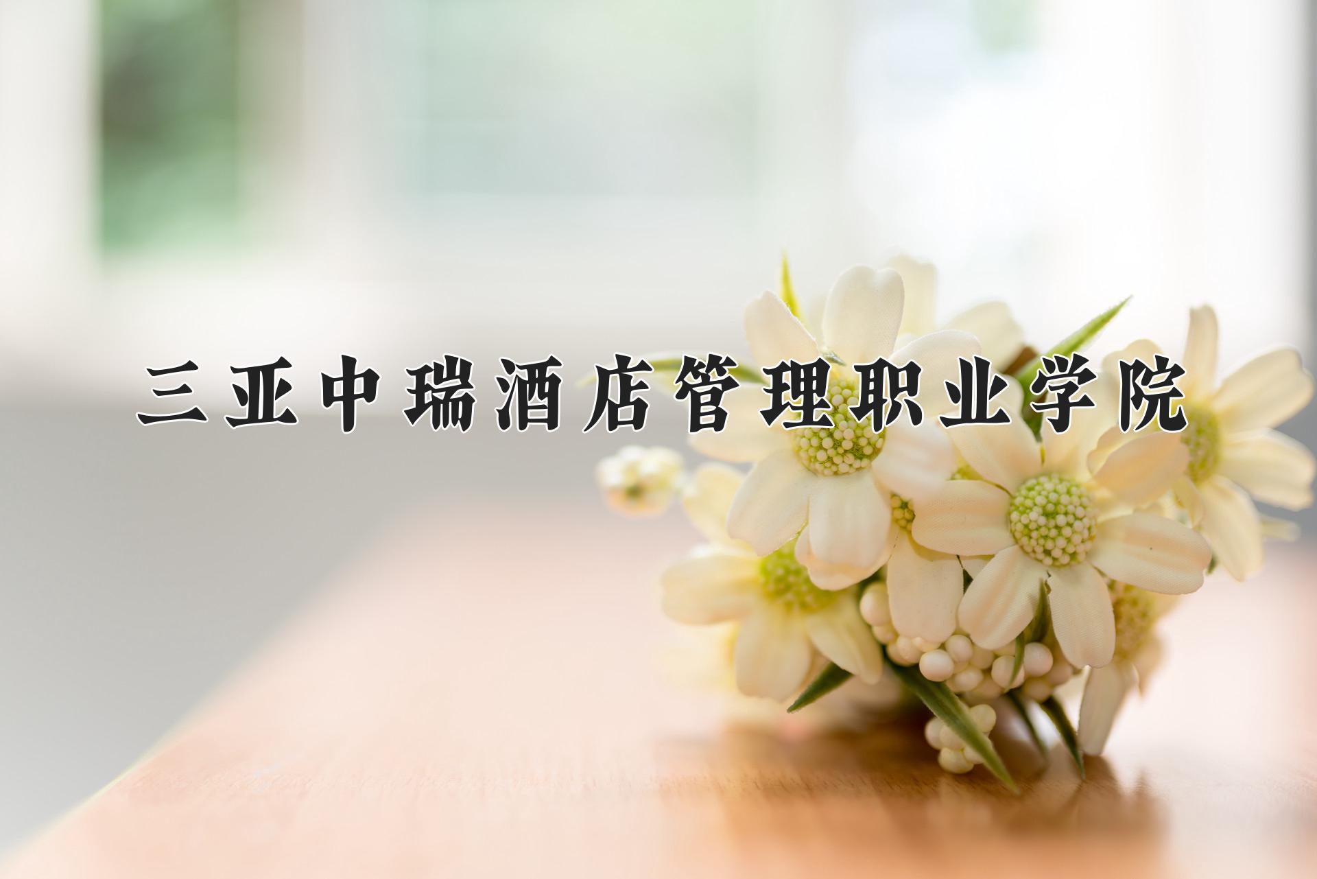 三亚中瑞酒店管理职业学院近三年录取分数线及位次：陕西2022-2024最低分