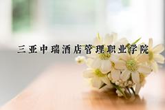三亚中瑞酒店管理职业学院近三年录取分数线及位次：陕西2022-2024最低分