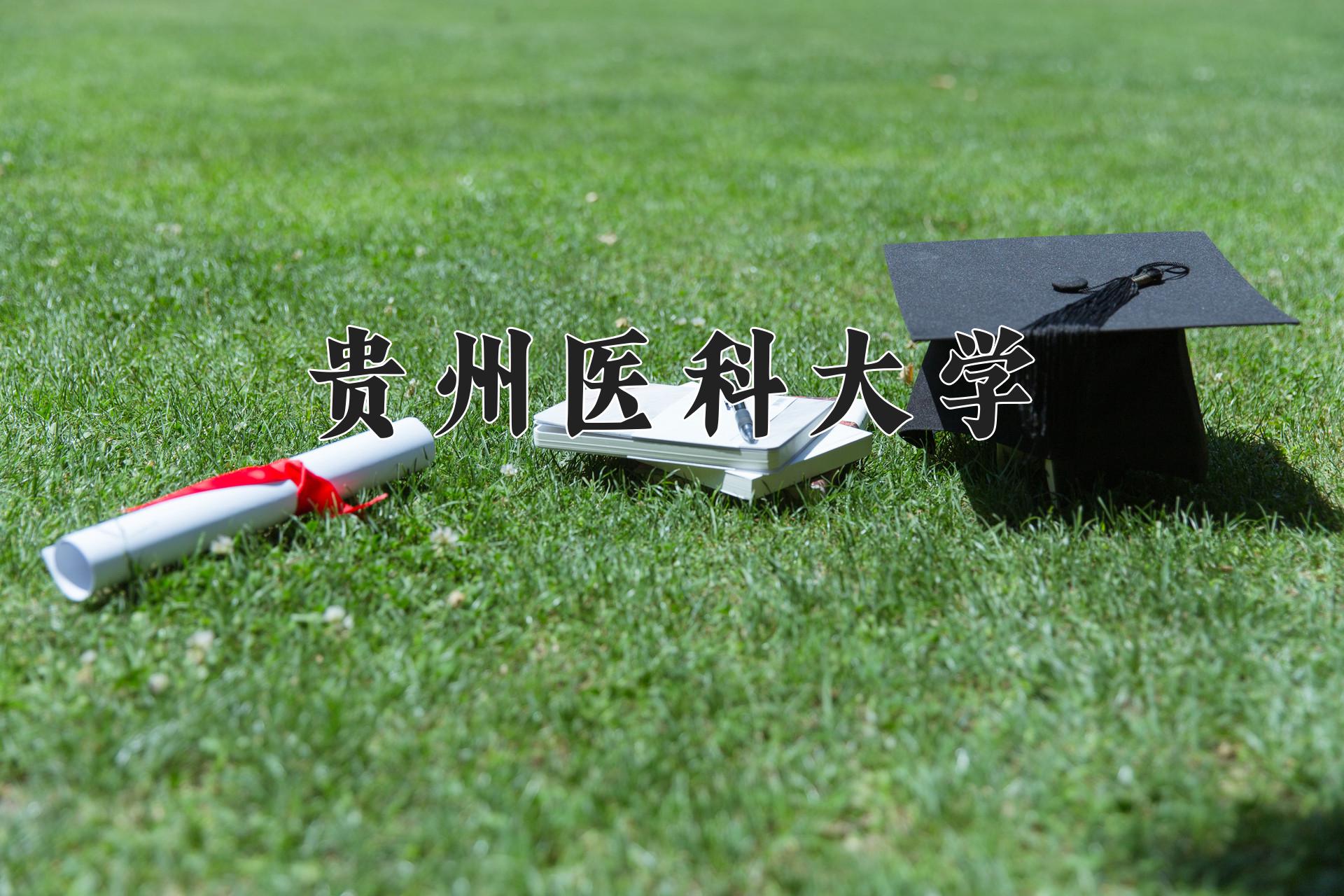 贵州医科大学近三年录取分数线及位次:陕西2022-2024最低分