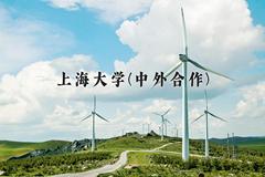 上海大学(中外合作)近三年录取分数线及位次：陕西2022-2024最低分