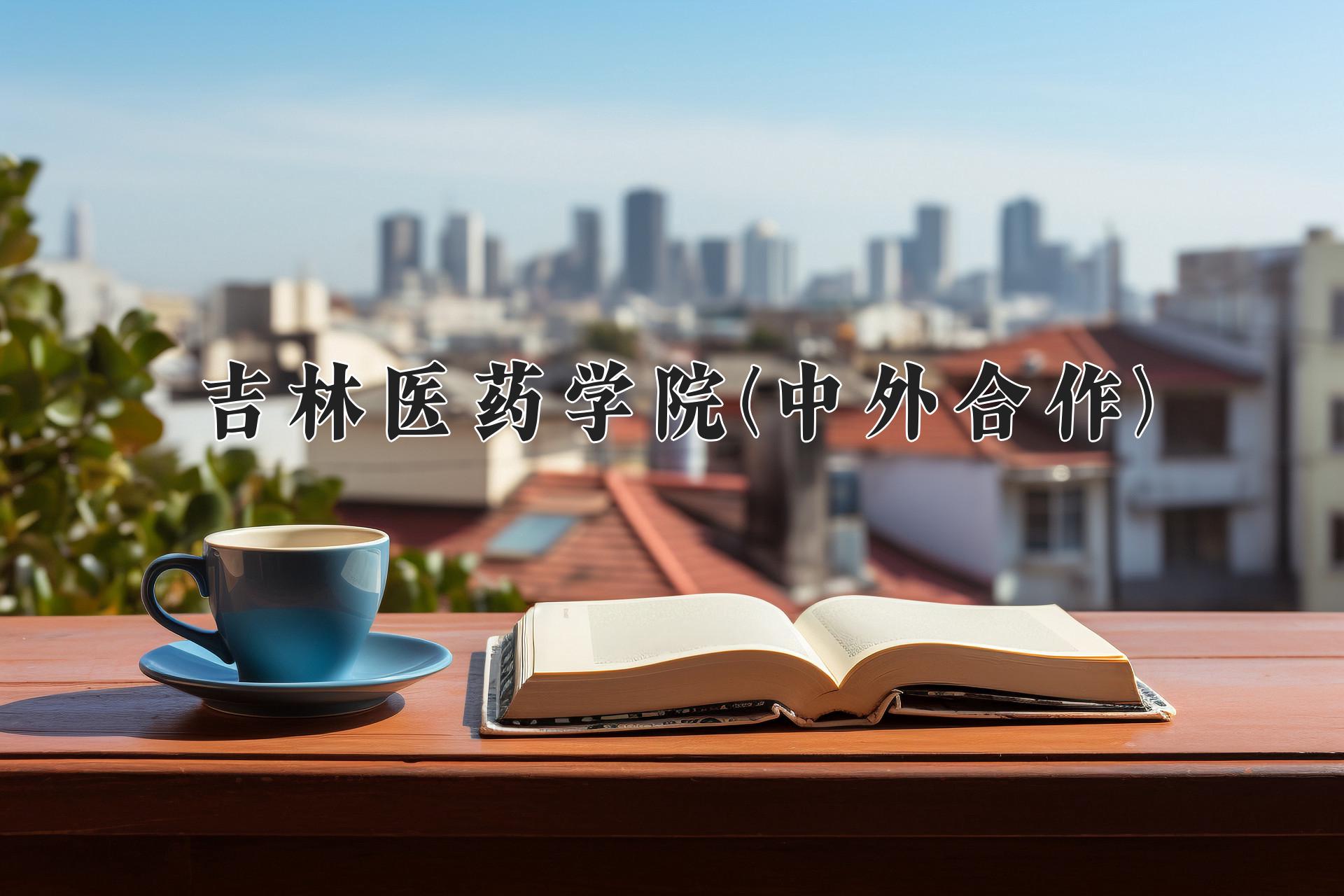 吉林医药学院(中外合作)近三年录取分数线及位次:陕西2022-2024最低分