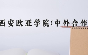 西安欧亚学院(中外合作)近三年录取分数线及位次：陕西2022-2024最低分