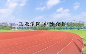 三亚学院(中外合作)近三年录取分数线及位次：陕西2022-2024最低分