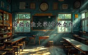 新疆农业大学(中外合作)近三年录取分数线及位次：陕西2022-2024最低分