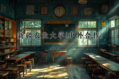 新疆农业大学(中外合作)近三年录取分数线及位次：陕西2022-2024最低分