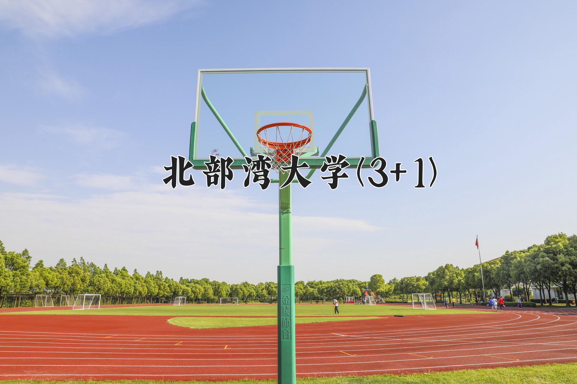北部湾大学(3+1)近三年录取分数线及位次：陕西2022-2024最低分