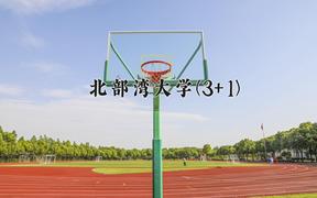 北部湾大学(3+1)近三年录取分数线及位次：陕西2022-2024最低分