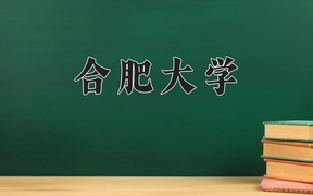 合肥大学近三年录取分数线及位次：陕西2022-2024最低分
