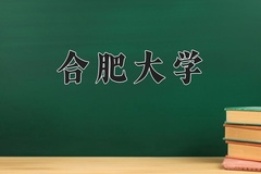 合肥大学近三年录取分数线及位次：陕西2022-2024最低分