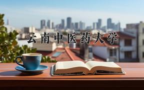 云南中医药大学近三年录取分数线及位次：陕西2022-2024最低分