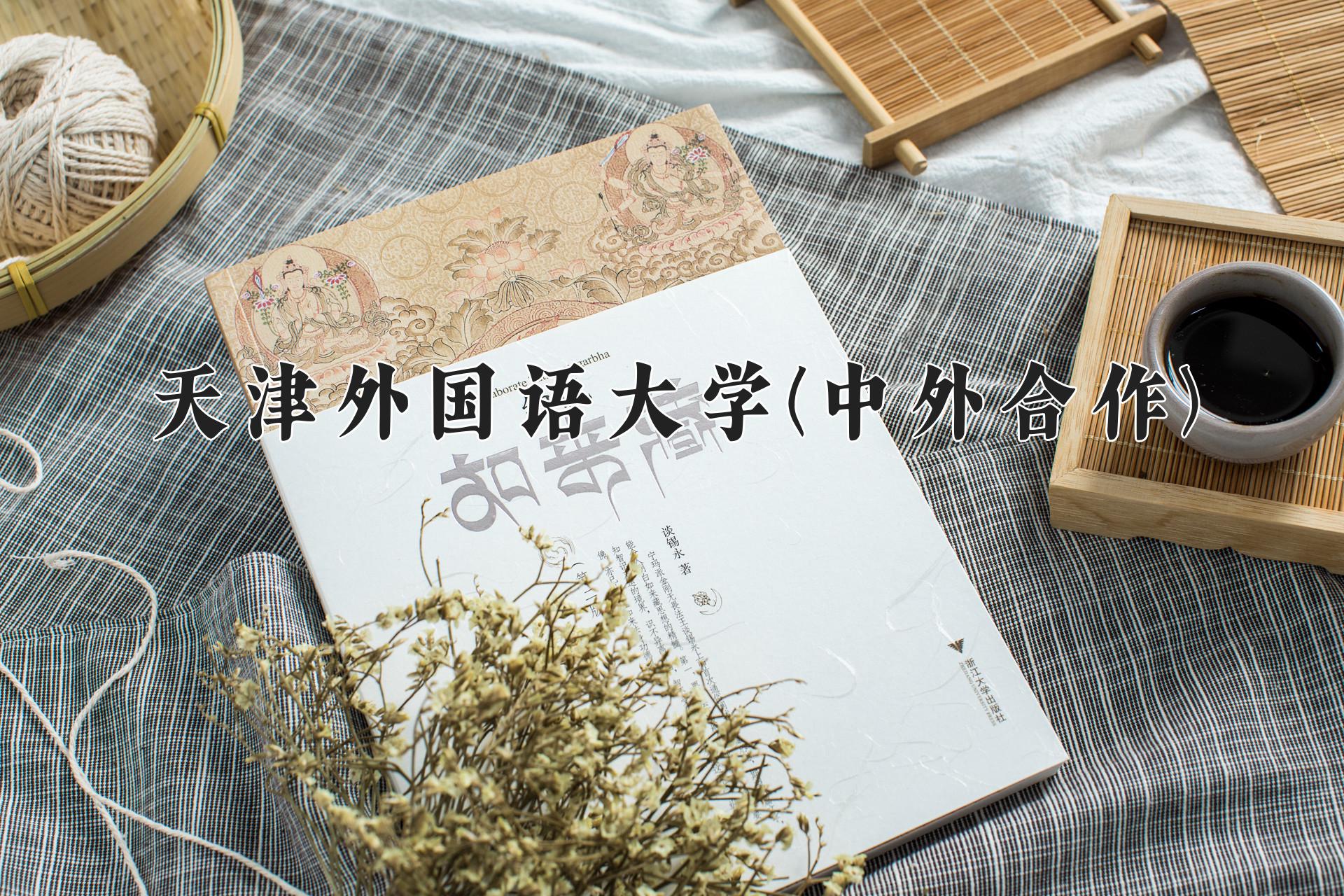 天津外国语大学(中外合作)近三年录取分数线及位次：陕西2022-2024最低分