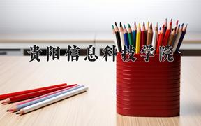 贵阳信息科技学院近三年录取分数线及位次：陕西2022-2024最低分